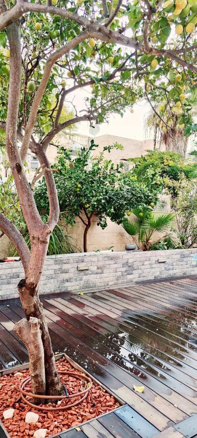 Primrose Boutique Apartment Ασντόντ Εξωτερικό φωτογραφία